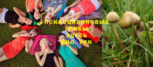 мяу мяу мука Армянск