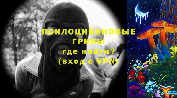 дмт Арсеньев