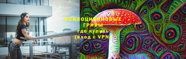 дмт Арсеньев
