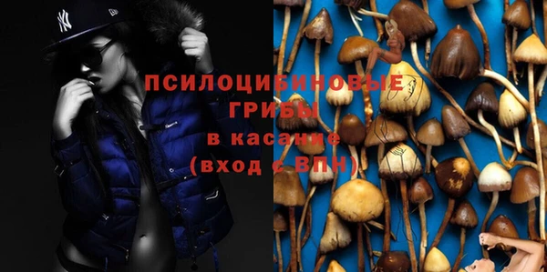 дмт Арсеньев