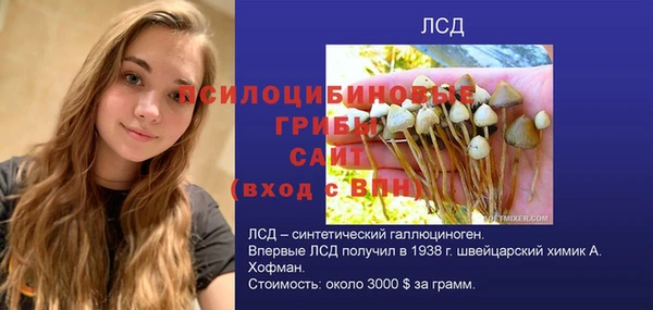 прущий лед Аркадак